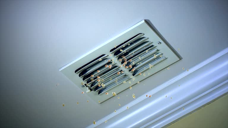 Affordable HVAC Duct Cleaning in Scotts Valley, CA